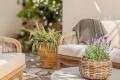 Maison ANTIBES 4368402_1