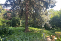 Maison TOULOUSE 4368557_1