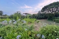 Maison ST-TROPEZ 8 pi&egrave;ces 4368903_3