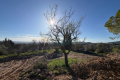 terrain CLERMONT-L'HERAULT 4370025_2