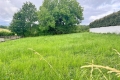 terrain ARBONNE 4374221_0