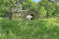 Maison SAIGNON Rustrel 4375829_2