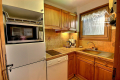 Appartement ARACHES-LA-FRASSE 4375176_3