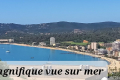 Appartement LE LAVANDOU 2 pi&egrave;ces 4379572_0