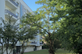 Appartement BORDEAUX 4379764_3