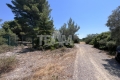 terrain MONTBAZIN 4380922_0