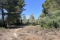 terrain MONTBAZIN 4380922_1