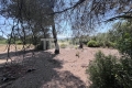 terrain MONTBAZIN 4380922_2