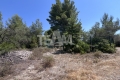 terrain MONTBAZIN 4380922_3