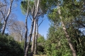 Maison NIMES 8 pi&egrave;ces 4383530_1