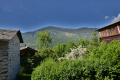 Maison COURCHEVEL 4390776_1