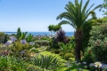 Maison CANNES 4392376_3