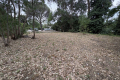 terrain GRIMAUD 4393258_0