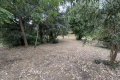 terrain GRIMAUD 4393258_2
