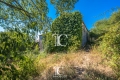 Maison BERRIAS ET CASTELJAU 4394039_0