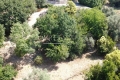 terrain CALLIAN 4401781_2