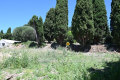 terrain CHATEAUNEUF-GRASSE 4403660_0