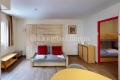 Appartement CHAMONIX-MONT-BLANC 1 pi&egrave;ces 4404963_0