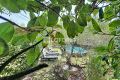 Maison CARPENTRAS 4405848_0