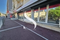 Commerce VALLAURIS 4406774_1
