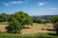 Maison GLUIRAS 12 pi&egrave;ces 4407629_2