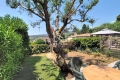 Appartement FAYENCE 4 pi&egrave;ces 4408549_3