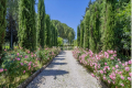 Maison ST-REMY-DE-PROVENCE Arnaud Solans 4409770_1