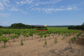 terrain ROCHEGUDE 4410315_1