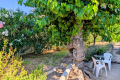 Maison CAVEIRAC 5 pi&egrave;ces 4409925_3