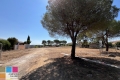 terrain PORTIRAGNES 4413389_1