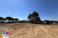terrain PORTIRAGNES 4413389_3