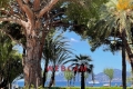 Appartement CANNES 3 pi&egrave;ces 4421131_0