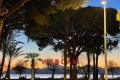 Appartement CANNES 3 pi&egrave;ces 4421131_1