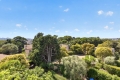 Appartement CANNES 4 pi&egrave;ces 4420659_2
