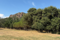 Maison ROQUEBRUNE-SUR-ARGENS 4423508_2