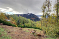 terrain ST-SIGISMOND Les Gets 4423969_1