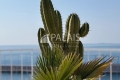Appartement NICE Cimiez 4424247_1