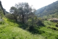 terrain GORBIO 4424112_3