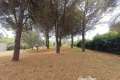 terrain NAGES-ET-SOLORGUES 5 pi&egrave;ces 4424683_2