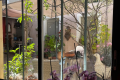 Maison ALLEINS Lascours 4425410_2