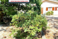 Maison LACANAU 8 pi&egrave;ces 4426536_0
