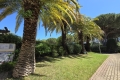 Appartement LA GRANDE-MOTTE 4427619_1