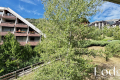 Appartement ST-CHAFFREY 1 pi&egrave;ces 4428062_1