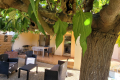 Appartement SIX-FOURS-LES-PLAGES 3 pi&egrave;ces 4427906_2