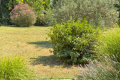 Maison ST-REMY-DE-PROVENCE 4427737_3