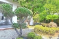 Maison CANNES 4429319_2