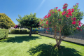 Maison HYERES 5 pi&egrave;ces 4428719_3