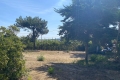 terrain HYERES 4430266_1