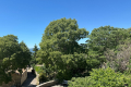 Maison VIENS 4430343_1