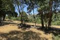 terrain VILLEFORT 4430379_1